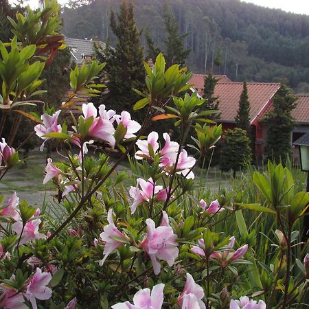 Pousada Flores Da Serra 蒙特韦尔迪 外观 照片